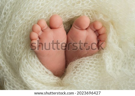 Feet of a newborn baby wrapped in a white blanket. Handle the fingers of a newborn.