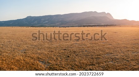 Grasslands of Dasht Arjan. wide panorama with autumn grass field and mountains in background at evening time, Typical autumnal scenery of Fars Province, iran Royalty-Free Stock Photo #2023722659