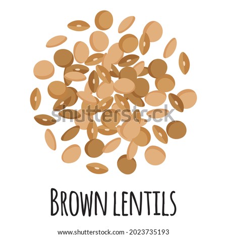 Brown lentils for template farmer market design, label and packing. Natural energy protein organic super food. Vector cartoon isolated illustration. Royalty-Free Stock Photo #2023735193