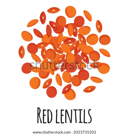 Red lentils for template farmer market design, label and packing. Natural energy protein organic super food. Vector cartoon isolated illustration. Royalty-Free Stock Photo #2023735202