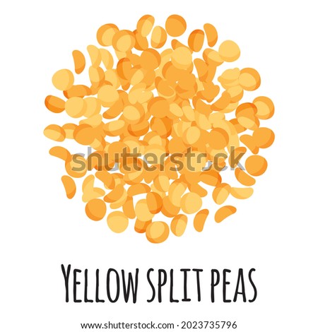 Yellow split peas for template farmer market design, label and packing. Natural energy protein organic super food. Vector cartoon isolated illustration. Royalty-Free Stock Photo #2023735796