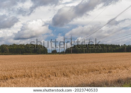 Latvian countryside field with electric lines. Picture was taken near Trikata
