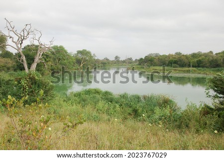 Kruger National Park, South Africa Royalty-Free Stock Photo #2023767029