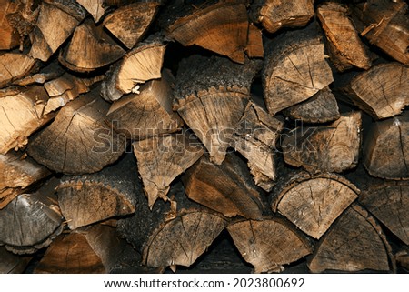 Woodpile of firewood. Harvesting and storage of fire woods for the winter. Background