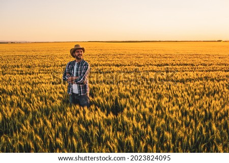 Farmer is standing in his growing wheat field. He is happy because of successful sowing.