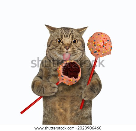 A beige cat holds pink chocolate cake pops. White background. Isolated.