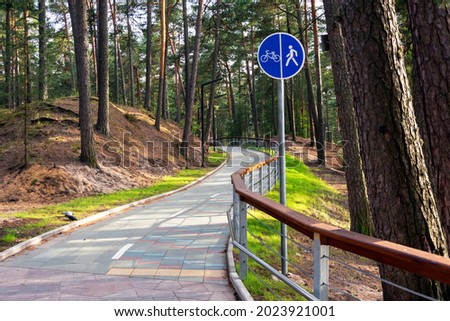 A winding bicycle path in a summer park among pine trees, a walking path for walking, a bicycle path sign.