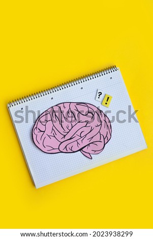 flatlay composition with a drawn brain