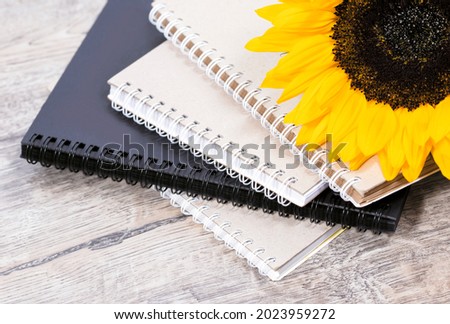 Back to school desk background with stack of sketchbooks or notebooks with spiral edge, basket and yellow sunflower, school or educational theme