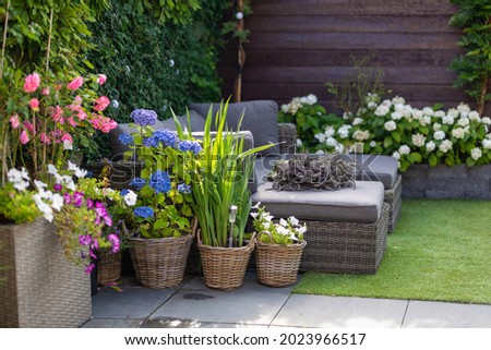 Modern lounge sofa in the garden with blooming flowers, outdoor patio in the green colourful garden landscape