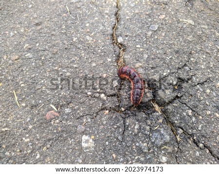 large caterpillar digs in the asphalt in the daytime in summer closeup photo