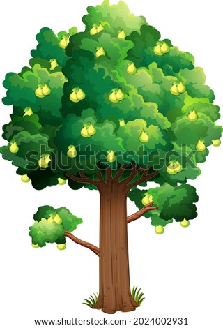 Pear fruit tree isolated on white background illustration