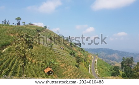 A view of the highlands in Majalengka, West Java. Lembah Panyaweuyan or Panyaweuyan 
 Valley. The photo composition with green hills and blue sky is very beautiful and refreshing to the eye.