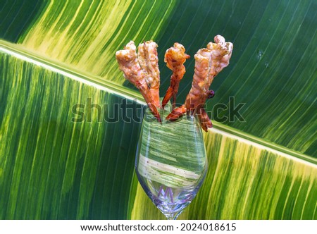Grilled shrimp on skewers placed in a glass of wine 
with speckled banana leaves in the background.
beautiful color of nature background. food and restaurant concept.
