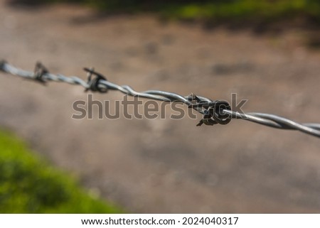 Minimalist photograph of barbed wire in the field.