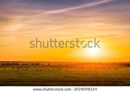 A field with haystacks on a summer or early autumn evening with a cloudy sky in the background. Procurement of animal feed in agriculture. Landscape. Sunset.