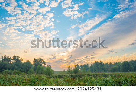 Cirrocumulus clouds in a blue sky in bright sunlight at sunrise in summer, Almere, Flevoland, The Netherlands, August 12, 2021
