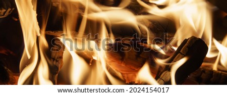 Macro photography of the bonfire in the forest. Burning wood. Summer picnic in the forest.