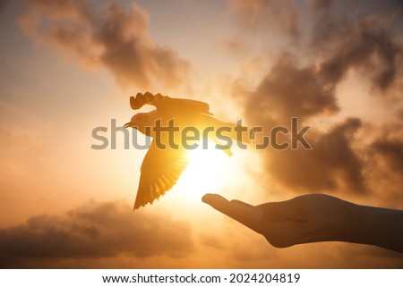 Close up image silhouette hand of woman praying and free bird enjoying nature on sunrise and overcast sky and cloud background, hope concept.
