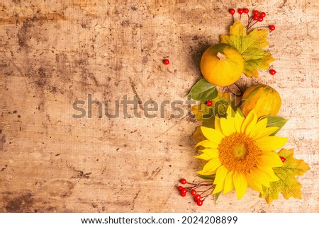 Autumn composition. Sunflower, red berries, and pumpkins. Festive good mood background, flat lay, top view