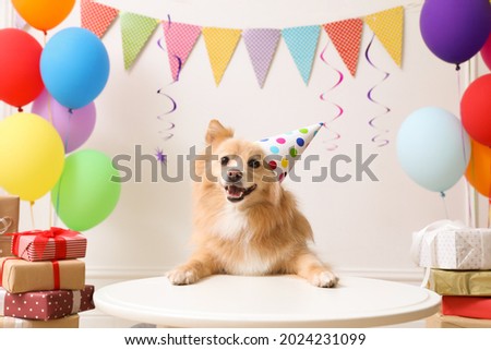Cute dog wearing party hat at table in room decorated for birthday celebration Royalty-Free Stock Photo #2024231099