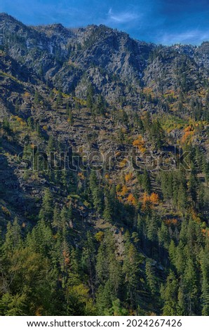 A vertical shot of orange and green trees color on steep slopes in Eastern Washington