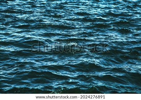 Wave pattern surface fresh or sea reservoir. Wallpaper background of lapping river waves on water surface sea or ocean waves. Backgrounds nature wallpapers concept. Photo ripples lake. Copy space