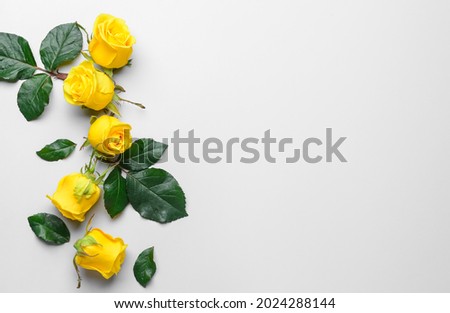 Composition with beautiful yellow roses on light background