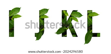 Leaf font I,J,K,L isolated on white background. Leafs font I,J,K,L made of Real alive leaves with Previous paper cut shape of font. Royalty-Free Stock Photo #2024296580