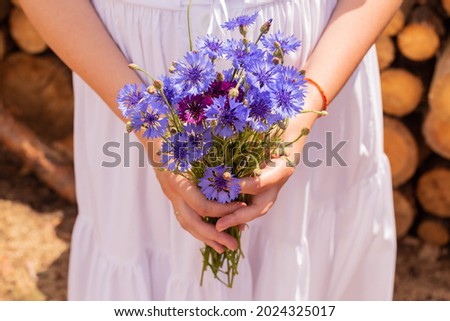 A bouquet of cornflowers in young woman hands. Girl in a white dress keeps beautiful bunch of blue wildflowers in her hands. Summer wildflowers. Countryside lifestyle.