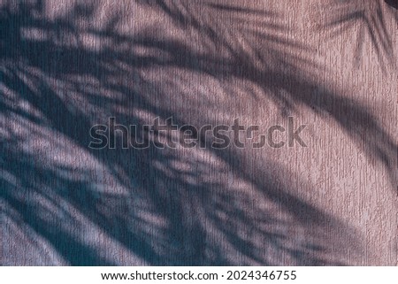 The shadow of palm tree leaves on the wall