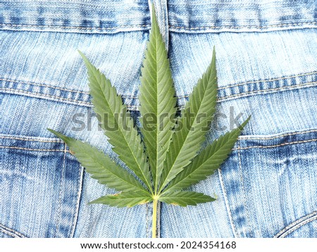 Industrial hemp leaf on jeans fabric Royalty-Free Stock Photo #2024354168