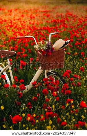 Vintage bicycle with basket in poppy field Royalty-Free Stock Photo #2024359049