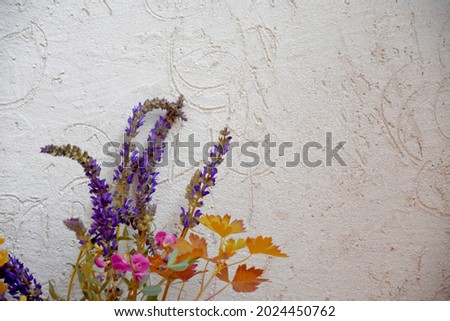 Bouquet of vibrant different delicate flowers and leaves next to gray wall 
