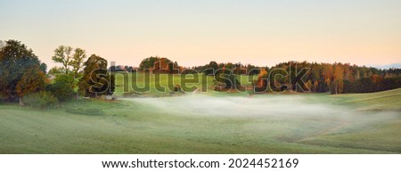 Picturesque aerial view of a winding rural road through the green hills, fields and forest in a fog at sunrise. Oak, spruce, birch trees. Colorful golden, red, orange leaves. Nature, seasons, autumn