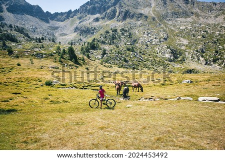 Mountain landscapes. Lakes of the principality of Andorra in summer. Ski slopes in summer. Wild animals, cows and horses.