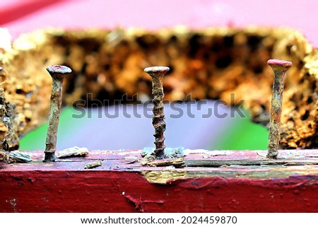 closeup of rusty screw in wood