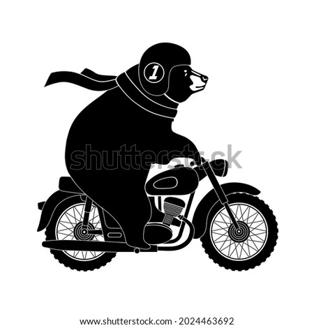 Bear Motorcyclist. Bear on a motorcycle.Graphic design