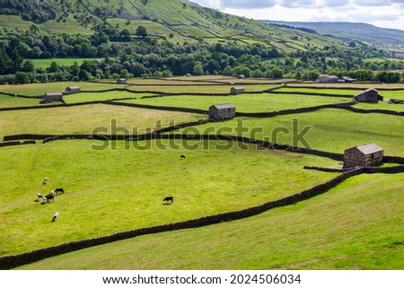 Traditional dry-stone walls and barns in the farmland of the Yorkshire Dales in northeast England. Royalty-Free Stock Photo #2024506034