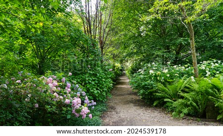Hydrangea Flowers path in Dunham Massey Royalty-Free Stock Photo #2024539178