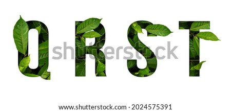 Leaf font Q,R,S,T isolated on white background. Leafs font Q,R,S,T made of Real alive leaves with Previous paper cut shape of font. Royalty-Free Stock Photo #2024575391