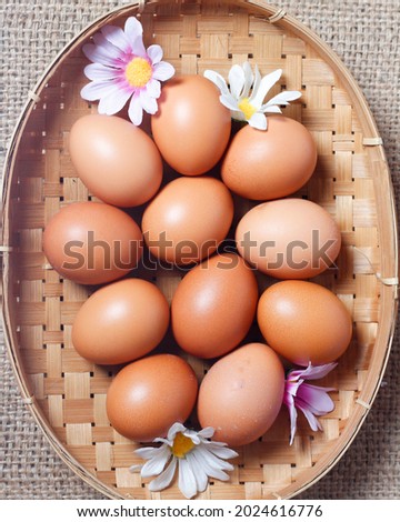 Eggs isolated on a bright background. Front photo. Egg wallpapers. Design, visual arts, minimalism. Egg templates. Organic chicken egg concept. Healthy organic food and diet concept. Focus blur.