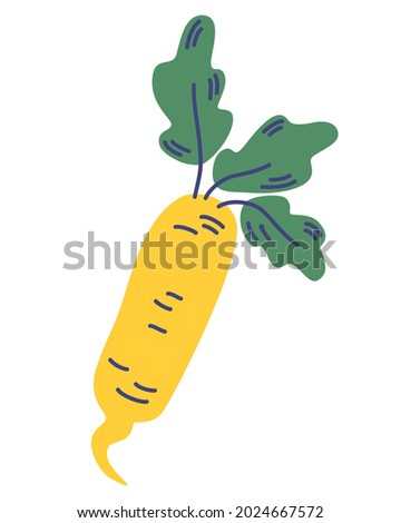 Daikon radish with green stem. Vegetable root. White radish, fresh veggie with green stem, organic food. Horseradish rhizome plant. Vector illustration isolated on white background. Royalty-Free Stock Photo #2024667572
