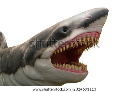 Ancient megalodon isolated on white background. Prehistoric beast lived into ocean