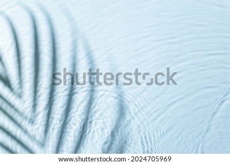 Water background. Blue aqua texture, surface of ripples, transparent palm leaf shadows and sunlight. Spa concept background. Flat lay, top view, copy space, banner Royalty-Free Stock Photo #2024705969