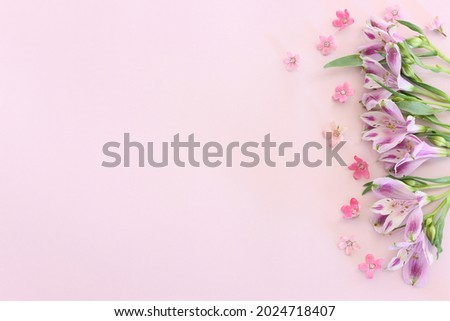 Top view image of pink and purple flowers composition over pastel background .Flat lay