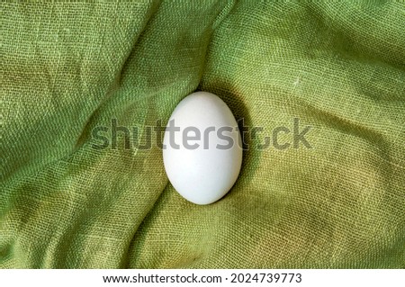 White chicken egg on a green rough cloth. Chicken egg is a healthy dietary dish.