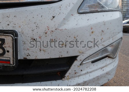 Insects on car paintwork, broken midges. Killed insects on the bumper of the car Royalty-Free Stock Photo #2024782208
