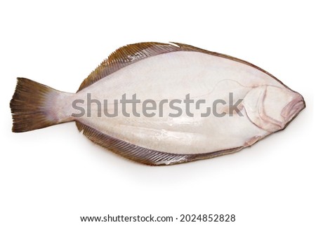 Hirame, Japanese flatfish, back side