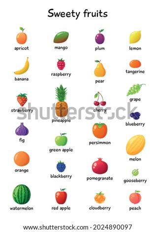 Fruits vocabulary set. Collection of the clip art fruit with signatures. Vector illustration of food